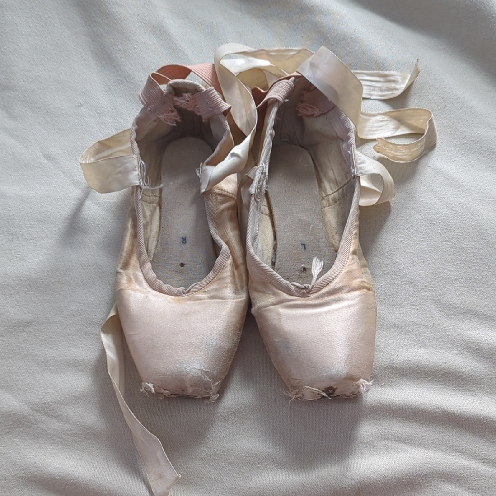Dead Grishko 2007 Ballet Pointe Shoes